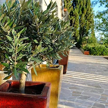 Le Relais Des Chartreuses