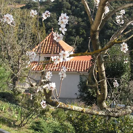 Szálloda Le Relais Des Chartreuses Le Boulou