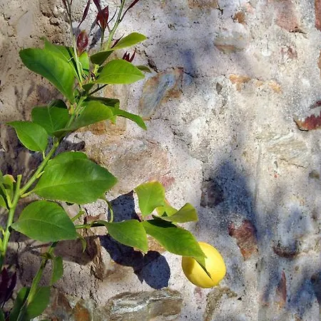 Hotel Le Relais Des Chartreuses 4*