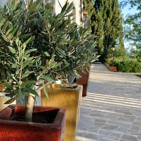 Le Relais Des Chartreuses Le Boulou